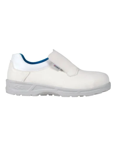 gedshop20261022101925262447