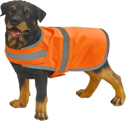 gedshop20261022200027385110